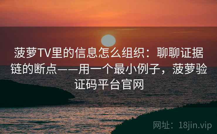 菠萝TV里的信息怎么组织：聊聊证据链的断点——用一个最小例子，菠萝验证码平台官网