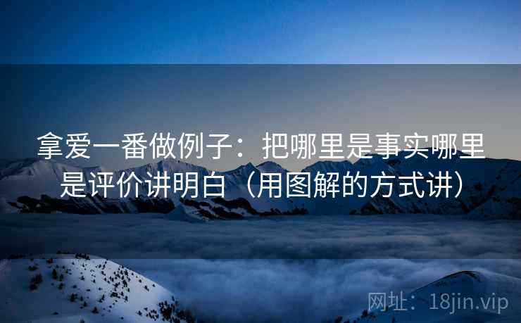 拿爱一番做例子：把哪里是事实哪里是评价讲明白（用图解的方式讲）